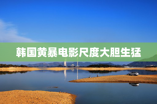 韩国黄暴电影尺度大胆生猛