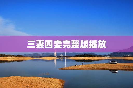 三妻四妾完整版播放