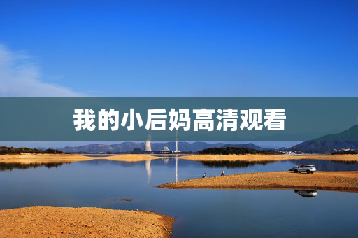 我的小后妈高清观看
