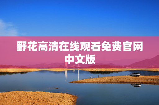 野花高清在线观看免费官网中文版