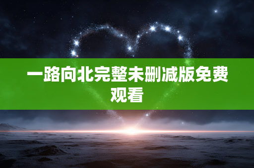 一路向北完整未删减版免费观看