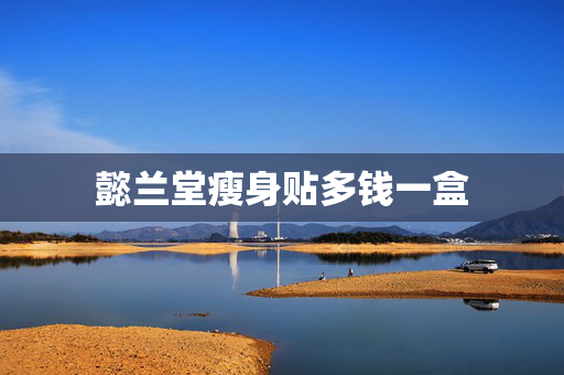 懿兰堂瘦身贴多钱一盒
