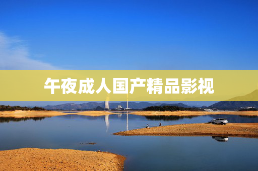 午夜成人国产精品影视
