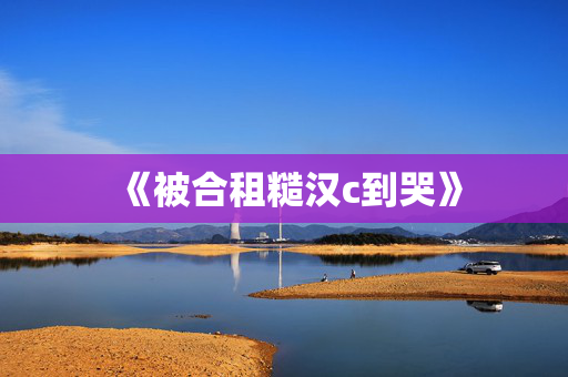 《被合租糙汉c到哭》