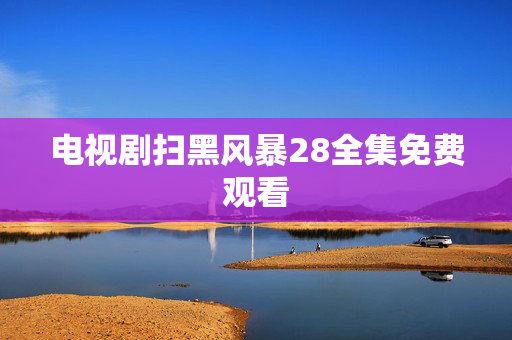 电视剧扫黑风暴28全集免费观看