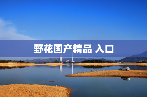 野花国产精品 入口