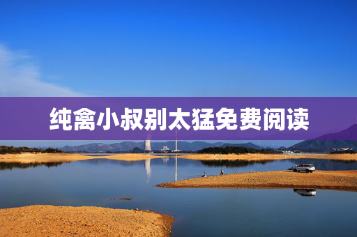 纯禽小叔别太猛免费阅读