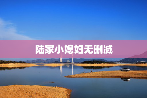 陆家小媳妇无删减