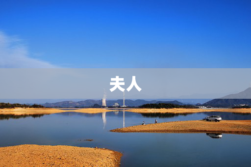 夫人