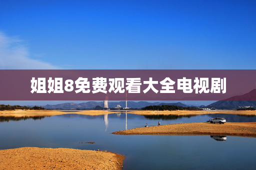 姐姐8免费观看大全电视剧