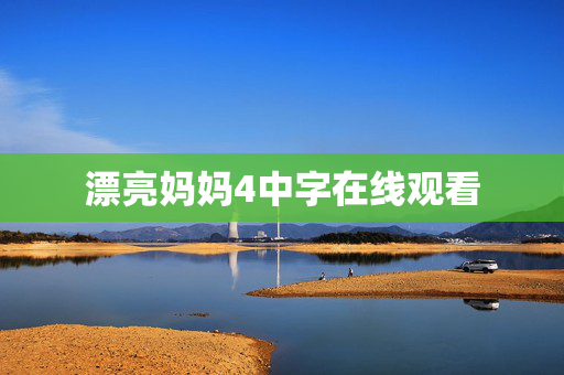 漂亮妈妈4中字在线观看