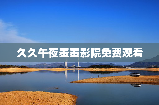 久久午夜羞羞影院免费观看
