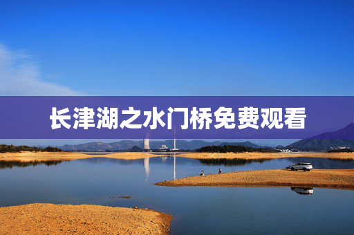 长津湖之水门桥免费观看