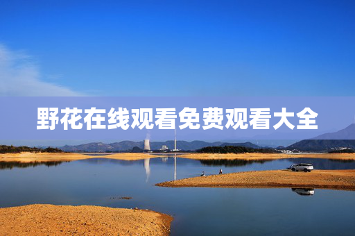 野花在线观看免费观看大全