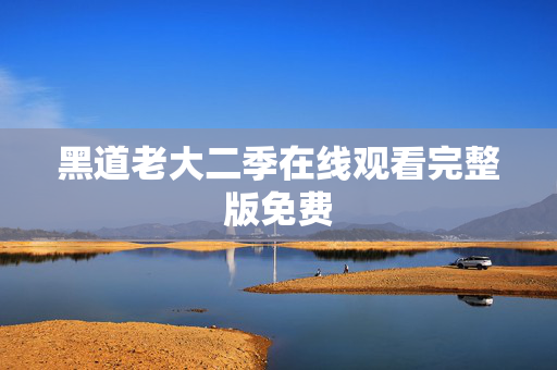 黑道老大二季在线观看完整版免费