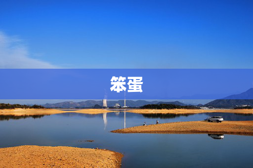 笨蛋