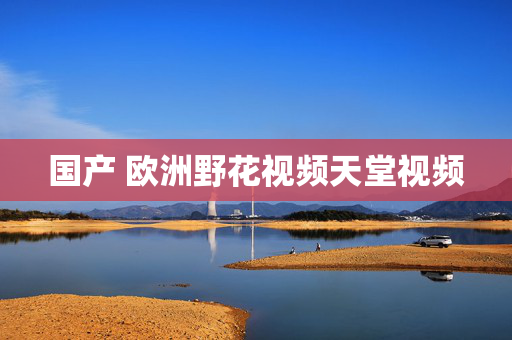 国产 欧洲野花视频天堂视频