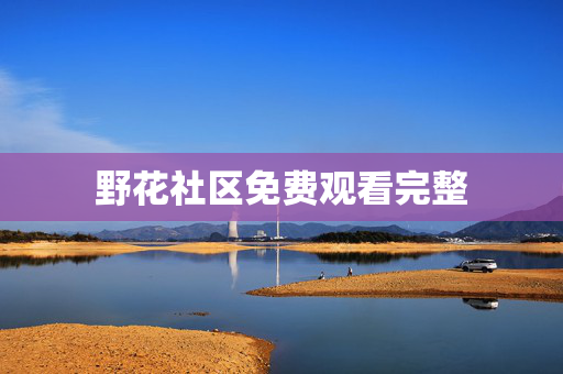 野花社区免费观看完整