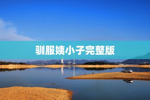 驯服姨小子完整版
