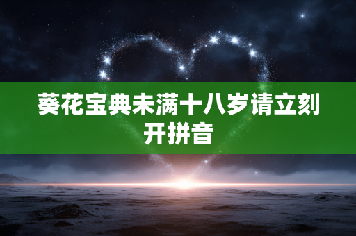 葵花宝典未满十八岁请立刻开拼音