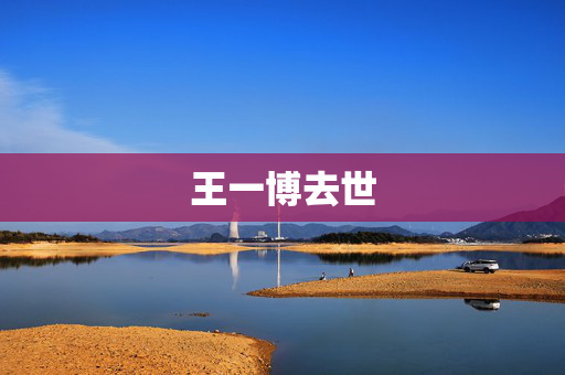 王一博去世