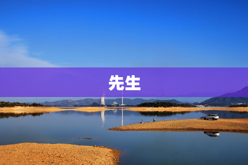 先生