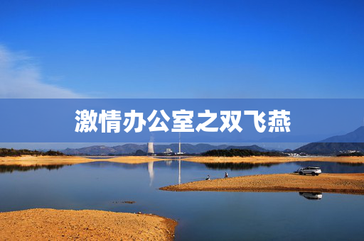 激情办公室之双飞燕