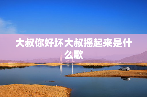 大叔你好坏大叔摇起来是什么歌
