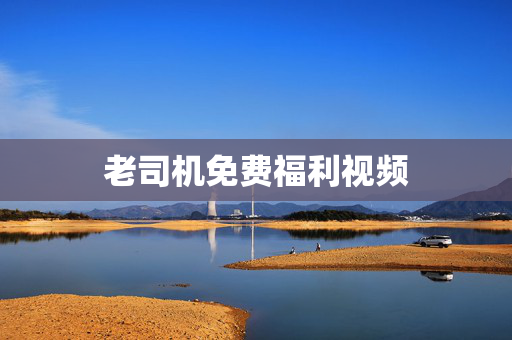 老司机免费福利视频