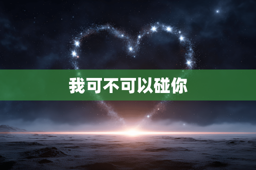 我可不可以碰你