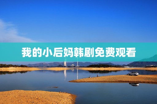 我的小后妈韩剧免费观看