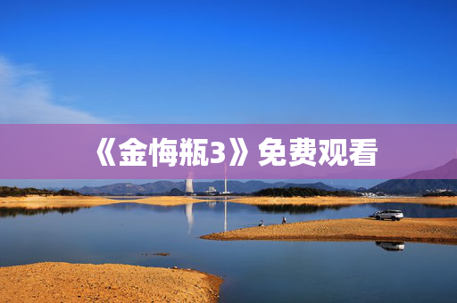 《金悔瓶3》免费观看