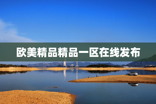 欧美精品精品一区在线发布