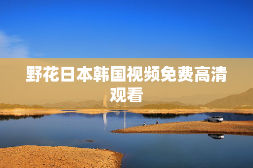 野花日本韩国视频免费高清观看