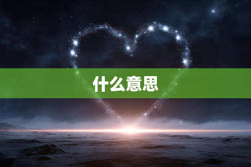 什么意思