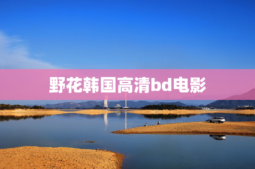 野花韩国高清bd电影