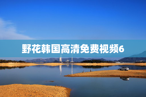 野花韩国高清免费视频6