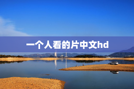 一个人看的片中文hd