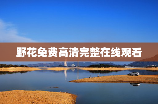 野花免费高清完整在线观看