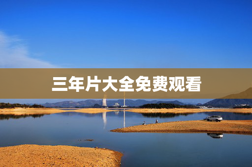三年片大全免费观看