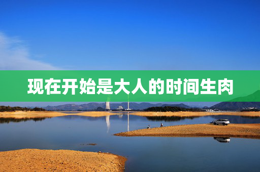 现在开始是大人的时间生肉