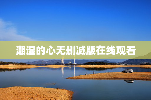潮湿的心无删减版在线观看
