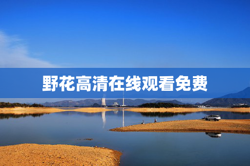 野花高清在线观看免费