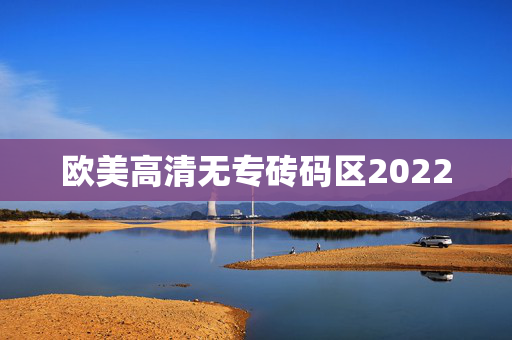 欧美高清无专砖码区2022
