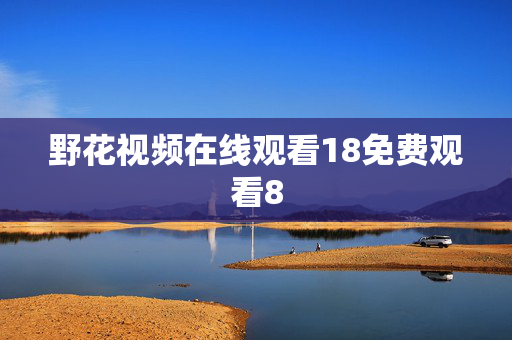 野花视频在线观看18免费观看8