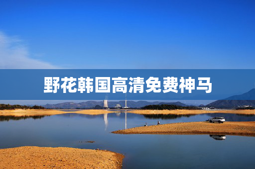 野花韩国高清免费神马