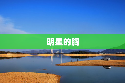 明星的胸