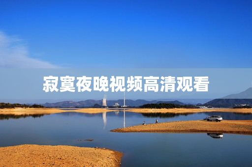 寂寞夜晚视频高清观看