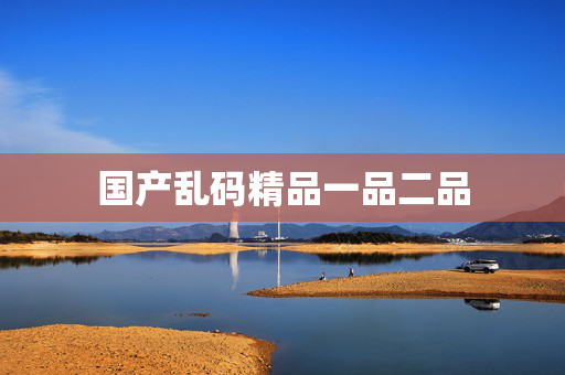 国产乱码精品一品二品