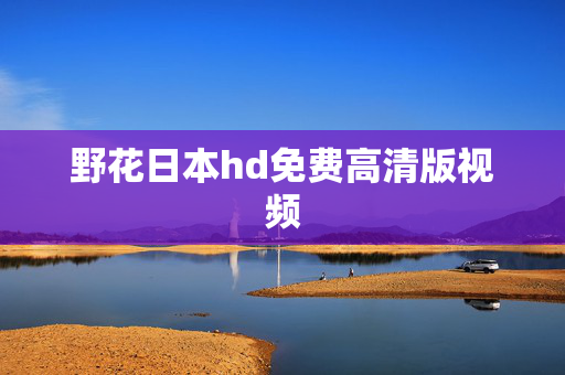 野花日本hd免费高清版视频